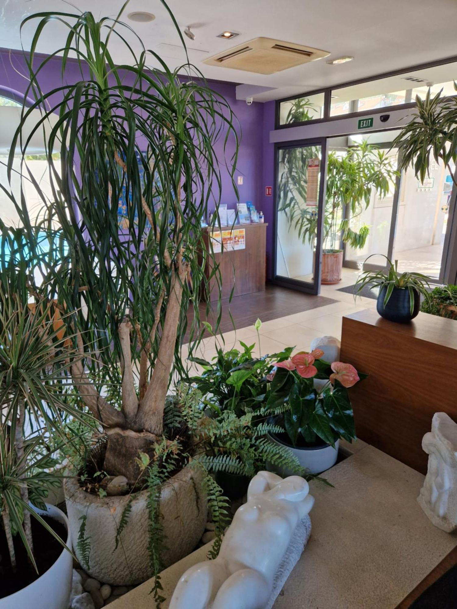 Hotel Lipa Postira Bagian luar foto
